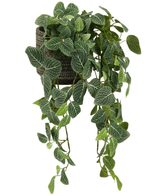 La plante artificielle suspendue Fittonia vert-blanc 70 cm présente des feuilles vertes suspendues avec des veines blanches, qui émergent d'un élégant pot noir-marron, sur un fond blanc.
