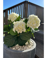 La plante Hortensia Artificielle Blanc UV 35 cm, avec des fleurs blanches et des feuilles vertes, se dresse à l'extérieur sur des galets blancs par une journée ensoleillée, avec des balustrades de terrasse en bois et un escalier en arrière-plan.