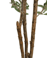 Gros plan de quelques branches d'arbre marron à l'écorce rugueuse et de quelques feuilles vertes de l'olivier artificiel UV 180 cm sur un fond uni blanc.