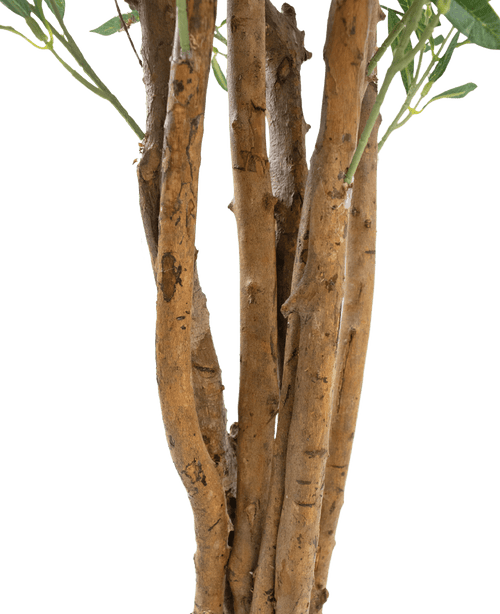 Gros plan sur plusieurs troncs marron à l'écorce rugueuse et quelques feuilles vertes sur un fond uni blanc, avec l'Olivier Artificiel UV 120 cm : une plante artificielle nécessitant peu d'entretien et résistante aux UV pour une beauté durable en intérieur ou en extérieur.
