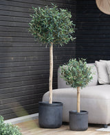Deux pots UV d'olivier artificiel de 150 cm aux feuilles vertes rondes sont placés dans des pots noirs sur un plancher en bois près d'un banc extérieur beige, contre un mur en bois sombre. Les deux arbres sont résistants aux UV.
