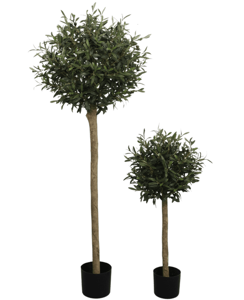 L'Olivier artificiel UV 150 cm est un olivier artificiel en pot avec une cime ronde feuillue verte et un tronc long et fin. Résistant aux UV et présenté dans un pot noir, il se détache sur un fond blanc uni.