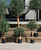 Plusieurs oliviers artificiels Mount UV 60 cm sont en pots sur des marches en bois à l'extérieur, qui mènent à une terrasse avec deux chaises noires et un coussin contre un mur clair.