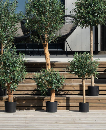 Plusieurs oliviers artificiels Mount UV 60 cm sont en pots sur des marches en bois à l'extérieur, qui mènent à une terrasse avec deux chaises noires et un coussin contre un mur clair.