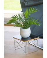 Un palmier artificiel Parlour UV 60 cm se dresse dans un pot sur une petite table d'appoint moderne avec un plateau noir et des pieds en fil métallique, à côté d'une chaise noire sur un parquet en bois clair.