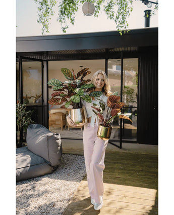 Une femme souriante se tient sur une terrasse en bois à l'extérieur d'une maison moderne, avec deux plantes artificielles rouges Calathea Makoyana UV de 60 cm aux feuilles colorées. Elle porte un pantalon rose clair et un haut blanc ; le mobilier d'extérieur est visible en arrière-plan.
