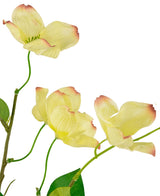 Le Cornouiller Artificiel Real Touch Jaune Clair 74 cm a une tige avec trois fleurs jaune clair légèrement rainurées avec des pointes roses et quelques feuilles vertes, représentées sur un fond blanc.
