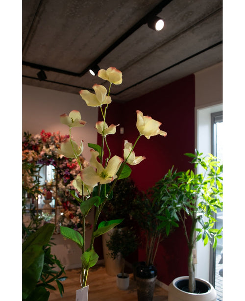 Un cornouiller artificiel Real Touch jaune clair de 74 cm, une longue tige de fleurs artificielles de couleur crème avec des bords rose clair, se dresse dans un espace intérieur bien éclairé entre diverses plantes en pot et compositions florales.