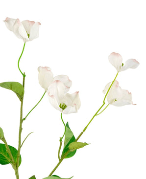 Le cornouiller artificiel Real Touch blanc 74 cm présente des fleurs de cornouiller blanches réalistes avec des bords rose clair et des feuilles vertes sur des tiges fines, sur un fond blanc.