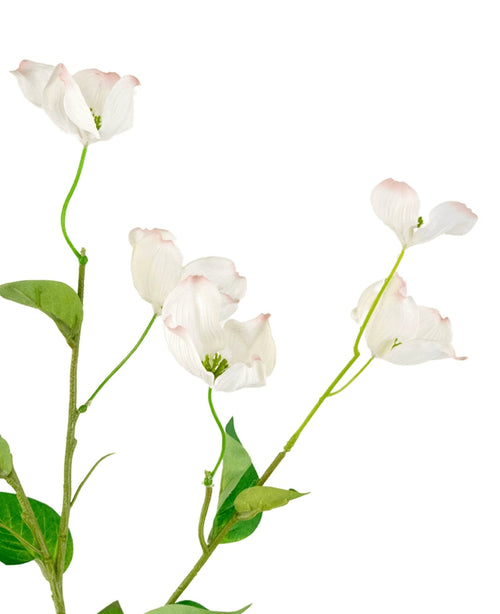 Le cornouiller artificiel Real Touch blanc 74 cm présente des fleurs de cornouiller blanches réalistes avec des bords rose clair et des feuilles vertes sur des tiges fines, sur un fond blanc.