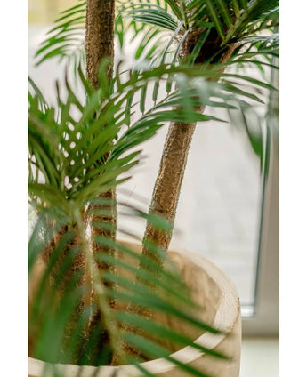 Gros plan d'un palmier Cycas Classic artificiel de 135 cm avec des troncs élancés et des feuilles vertes luxuriantes, exposé dans un élégant pot décoratif près d'une fenêtre avec une douce lumière naturelle.