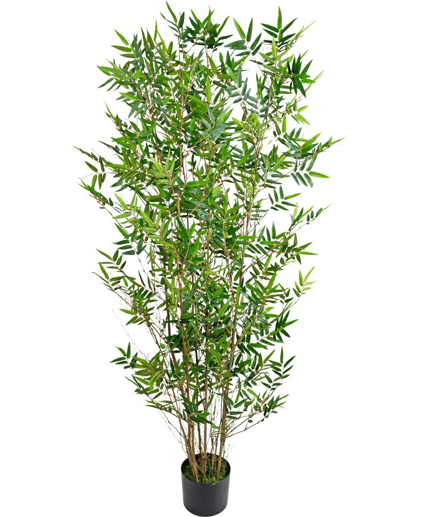 La Plante Artificielle Bamboo Deluxe 150 cm est une grande plante de bambou en pot avec de fines feuilles vertes et plusieurs tiges fines, photographiée sur un fond blanc uni.