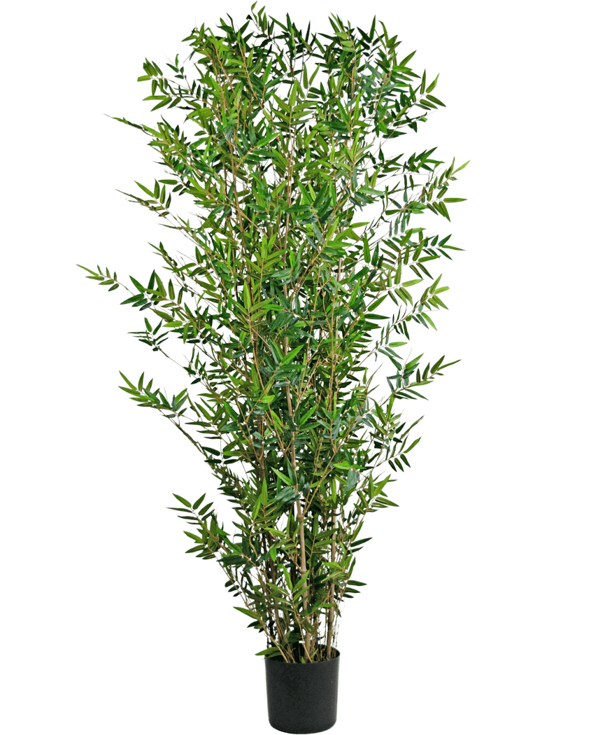 La Plante Artificielle Bamboo Deluxe 180 cm est une grande plante artificielle de bambou aux multiples feuilles vertes fines et aux tiges fines, présentée dans un pot sur un fond blanc uni.