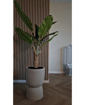 Le bananier artificiel de 150 cm aux grandes feuilles vertes se dresse sur un parquet en bois devant un mur en bois à lattes. Sur la droite se trouve un ventilateur moderne sans pales dans la pièce aux murs et au sol neutres.
