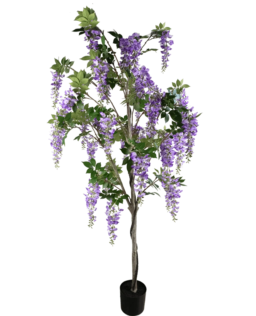 La Plante Glycine Artificielle 210 cm est une glycine artificielle en pot avec des feuilles vertes et des grappes de fleurs violettes sur un fond blanc uni.