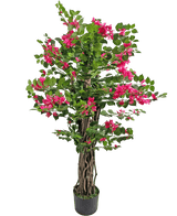 Le bougainvillier artificiel de 120 cm a des tiges brunes torsadées, des feuilles vertes luxuriantes et des fleurs roses éclatantes, parfaites pour ajouter de la couleur à n'importe quel espace.