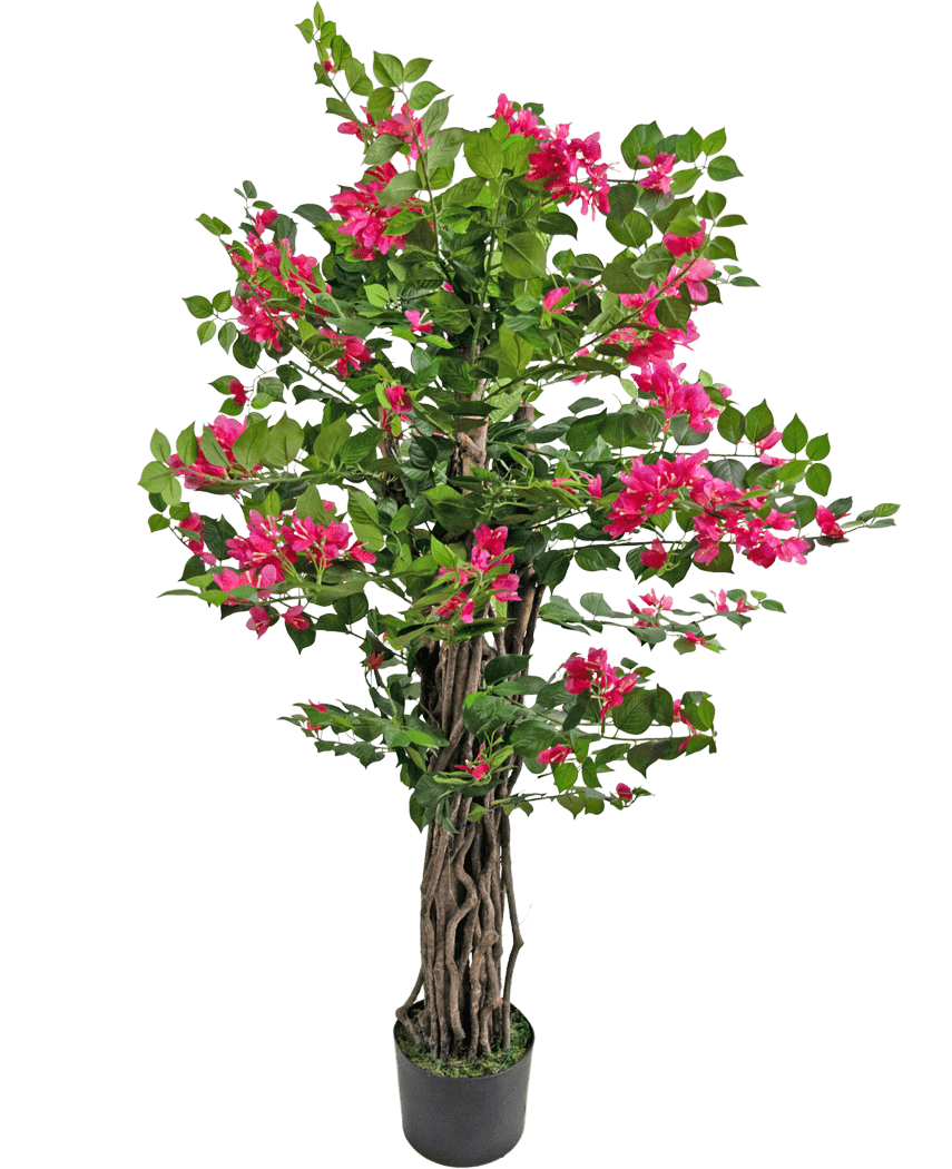 Le bougainvillier artificiel de 120 cm a des tiges brunes torsadées, des feuilles vertes luxuriantes et des fleurs roses éclatantes, parfaites pour ajouter de la couleur à n'importe quel espace.