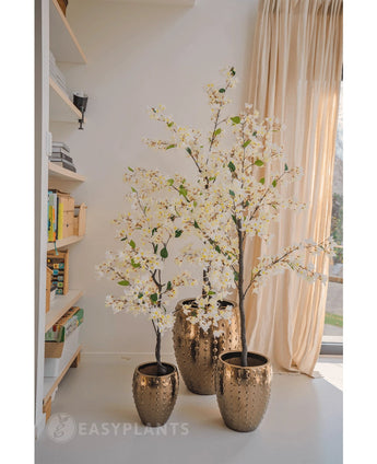 Une plante de bougainvilliers artificiels de 120 cm de haut avec des fleurs blanches dans un pot doré texturé se trouve près d'une fenêtre avec des rideaux transparents, à côté d'étagères pleines de livres et de décorations dans une pièce lumineuse et moderne.