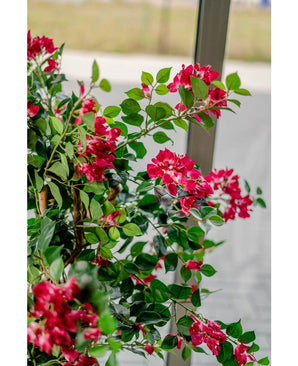 Un petit colibri plane près de la plante artificielle Bougainvillier Liana Fuchsia 115 cm aux feuilles vertes luxuriantes, sirotant du nectar et apportant une atmosphère méditerranéenne sur un fond flou vu de l'extérieur à travers la fenêtre.