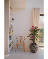 Une chaise en bois se trouve à côté d'une plante artificielle de bougainvilliers liane fuchsia de 115 cm, qui donne une touche méditerranéenne à la pièce lumineuse. Des livres sont posés sur une étagère et des rideaux beiges recouvrent la fenêtre ensoleillée.