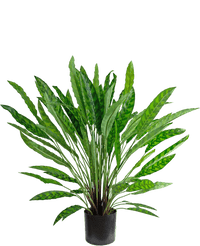 Plante artificielle Calathea 85 cm