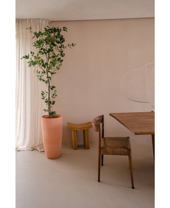 La plante artificielle Ficus 210 cm se dresse à côté de rideaux transparents dans une pièce minimaliste et neutre avec une chaise en bois rustique, un petit tabouret en bois frappant et une table en bois.