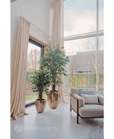 La plante artificielle Ficus Tropical Liana 150 cm se trouve près des fenêtres du sol au plafond avec des rideaux beiges dans un salon moderne et lumineux, idéale pour une décoration de bureau élégante. Un fauteuil lumineux se trouve à proximité, avec des arbres et des haies visibles à l'extérieur.