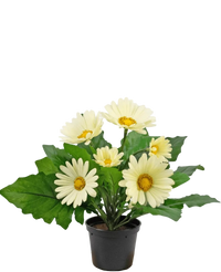 Plante artificielle Gerbera 28 cm blanc