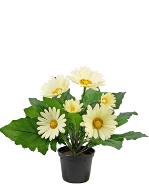 Plante artificielle Gerbera 28 cm blanche