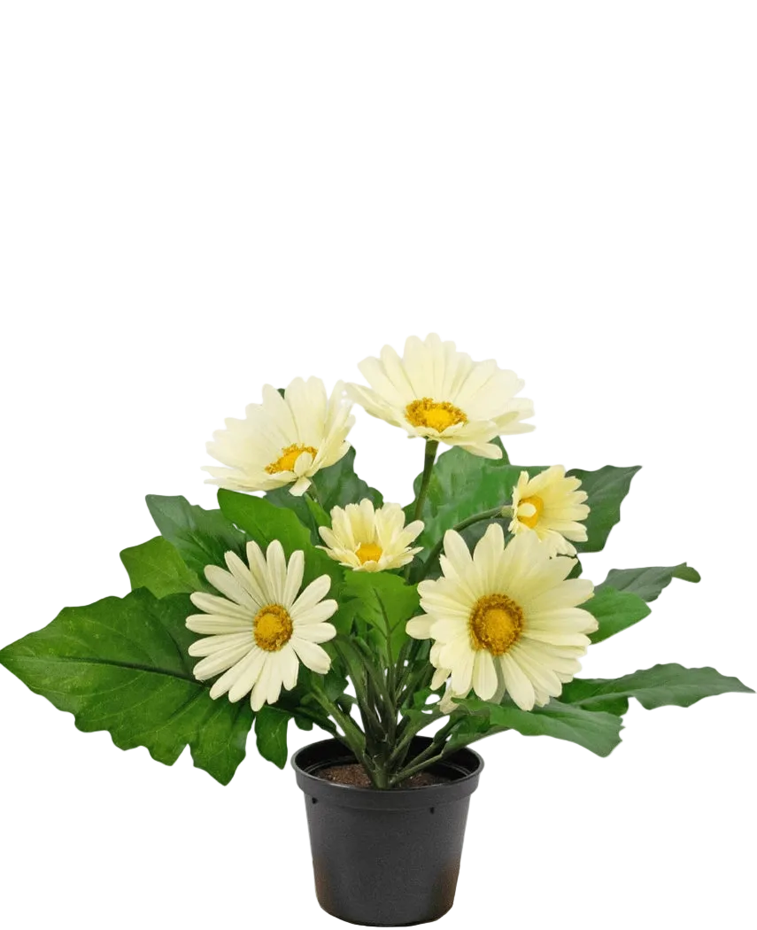 Plante artificielle Gerbera 28 cm blanche