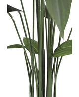 Gros plan d'une grande plante artificielle verte Heliconia de 160 cm de tiges et de larges feuilles sur un fond blanc. L'image met en valeur la disposition verticale et la texture naturelle de cette plante sans entretien.