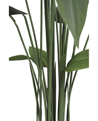 Gros plan d'une grande plante artificielle verte Heliconia de 160 cm de tiges et de larges feuilles sur un fond blanc. L'image met en valeur la disposition verticale et la texture naturelle de cette plante sans entretien.