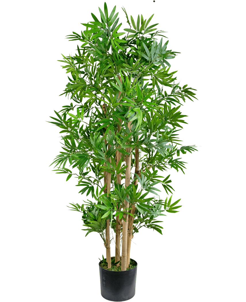 La Plante Artificielle Bambou Japonais 120 cm est une grande plante artificielle de bambou aux fines feuilles vertes et aux tiges marron clair, présentée dans un simple pot noir sur fond blanc.
