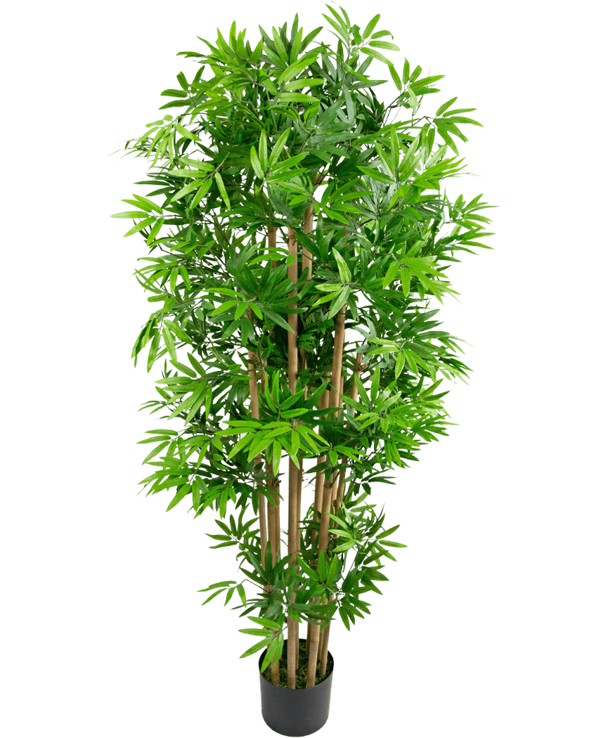 La Plante Artificielle Bambou Japonais 150 cm est un grand bambou artificiel avec de multiples tiges brunes et des feuilles vertes luxuriantes, dans un pot noir compact, sur un fond blanc uni.