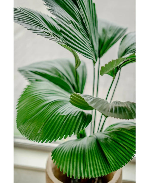Gros plan de la plante artificielle Lucuala Grandis 120 cm, avec de grandes feuilles vertes en forme d'éventail dans des pots élégants, placées sur une surface lumineuse près d'une fenêtre.