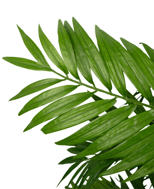 Gros plan d'un salon de plantes artificielles de 120 cm avec des feuilles de palmier vertes aux feuilles longues et minces sur un fond blanc uni.