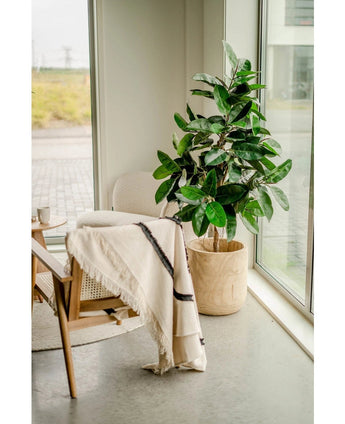 Une chaise en bois avec un tapis de couleur crème se trouve à côté de la plante à caoutchouc artificielle de 150 cm dans des pots élégants près de hautes fenêtres, où la lumière naturelle et un sol gris clair renforcent l'atmosphère lumineuse et sereine de la pièce.