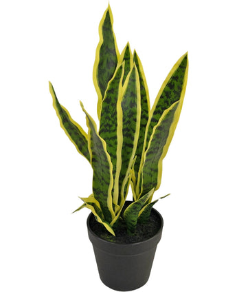 La plante artificielle Sansevieria Laurentii 44 cm possède de longues feuilles vertes dressées aux bords jaunes et est présentée dans un pot décoratif sur un fond blanc uni.