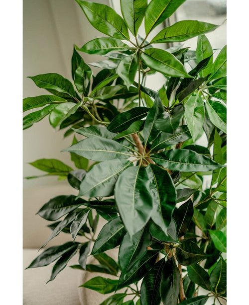 Un gros plan de la plante artificielle Schefflera de 150 cm montre les longues feuilles vertes brillantes près d'une fenêtre où la lumière naturelle met en valeur le feuillage luxuriant et réaliste.