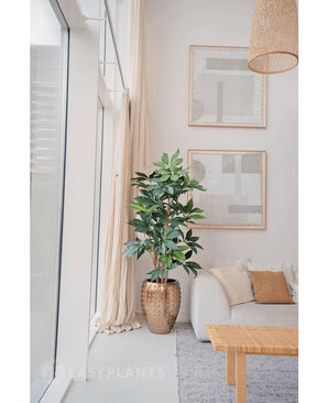 Un salon moderne et minimaliste avec de grandes fenêtres, un canapé blanc avec des coussins beiges, un pot texturé doré avec la plante artificielle Schefflera de 150 cm, une décoration murale abstraite et une lampe suspendue tressée au-dessus de votre tête.