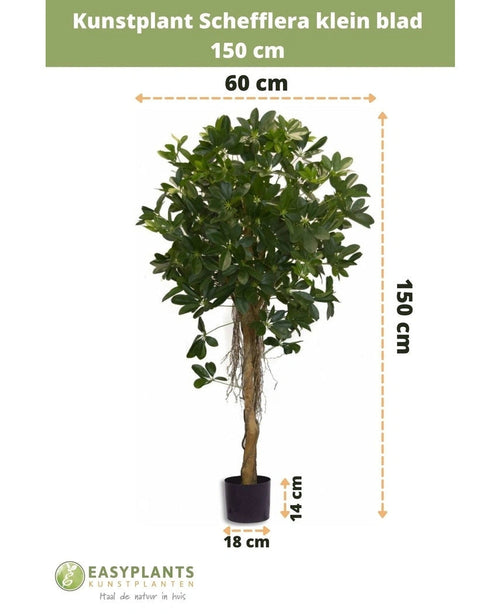 La petite feuille artificielle Schefflera 150 cm a de petites feuilles dans un pot décoratif, mesure 150 cm de haut, 60 cm de large, avec une hauteur de pot de 14 cm et un diamètre de 18 cm. Les mesures sont indiquées par des flèches.