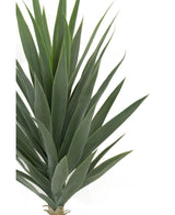 Gros plan de la plante artificielle Yucca 100 cm UV, avec des feuilles vertes denses et épineuses rayonnant vers le haut et vers l'extérieur à partir du centre sur un fond blanc uni.