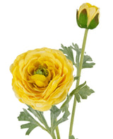 La renoncule artificielle Real Touch Jaune 60 cm a une renoncule jaune réaliste en pleine floraison, avec des pétales superposés réalistes, un bourgeon jaune fermé et des feuilles vertes sur un fond blanc.