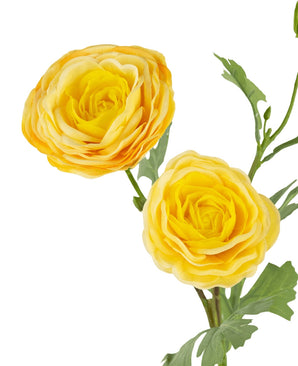 La rose artificielle "Emine" Real Touch Jaune 62 cm possède deux renoncules jaune vif avec des pétales superposés et des feuilles vertes, magnifiquement présentées sur un fond blanc.