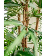 Gros plan du Lady Palm artificiel de 210 cm, avec ses longues feuilles vertes étroites et ses tiges brunes duveteuses sur un fond clair et légèrement vague.