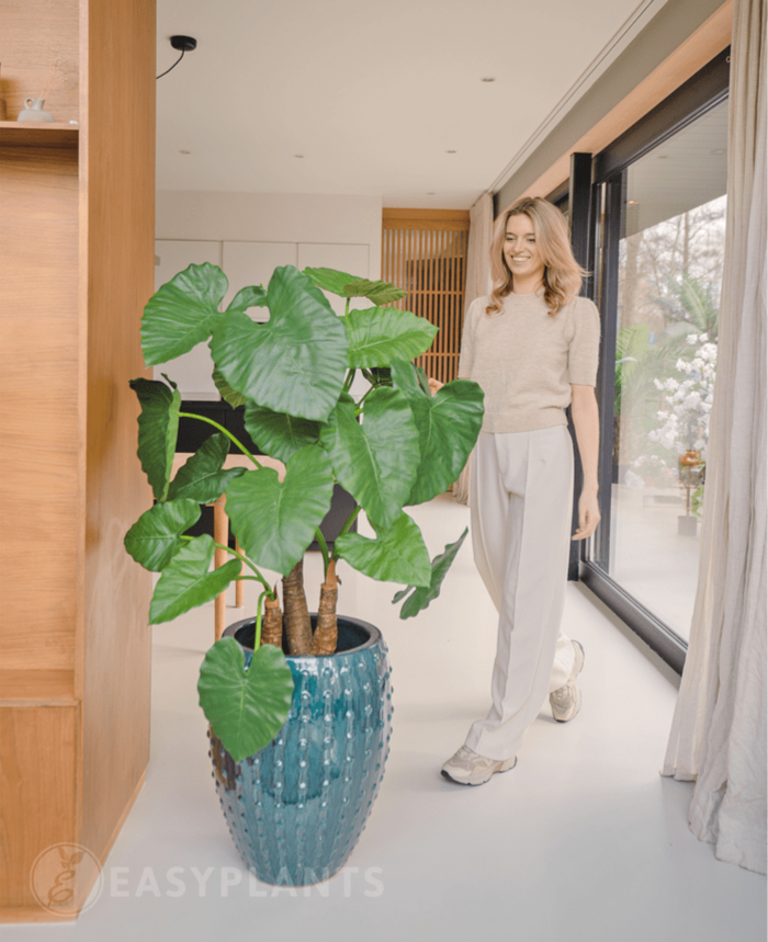 Plante artificielle Alocasia 120 cm