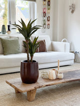 Un salon moderne avec un canapé blanc, des coussins verts et marron, une table basse en bois décorée de bougies et d'agave artificielle 76 cm, et une décoration murale en maille chaîne. La lumière naturelle pénètre par les fenêtres derrière le canapé.