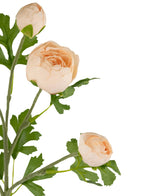 Une branche de renoncule artificielle x5 tige rose Real Touch de 62 cm avec cinq renoncules couleur pêche et des feuilles vertes sur fond blanc. Certaines fleurs sont partiellement ouvertes, tandis que d'autres ont des pétales entièrement superposés.