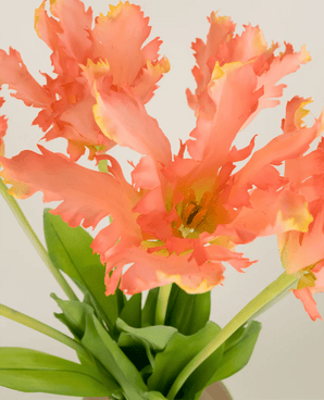 Bouquet de fleurs artificielles en soie, perruche française, tulipe, corail