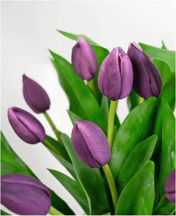 Un gros plan du bouquet artificiel en soie Tulipes dans un vase Violet montre un certain nombre de fleurs de tulipes violettes avec des feuilles vertes dans un vase sur un fond clair et neutre.